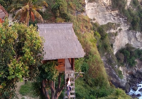 Paket Bali Nusa Penida Barat dan Timur Tour | Rumah Pohon Molenteng